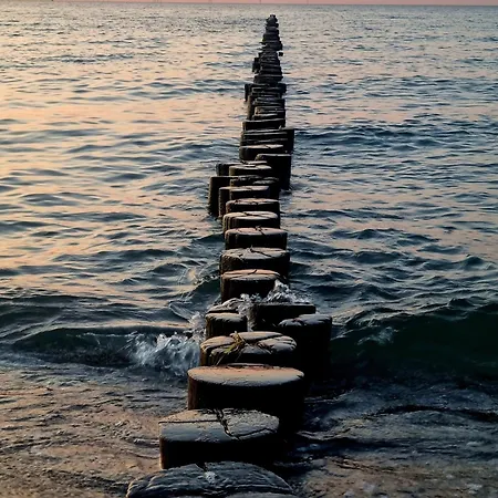 Lägenhet Strandmöwe 2 Zingst